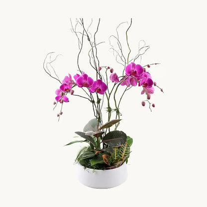 Orchid Garden Style 1